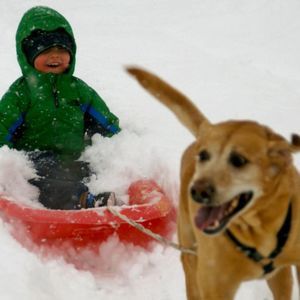 Meet your Posher, Ferris